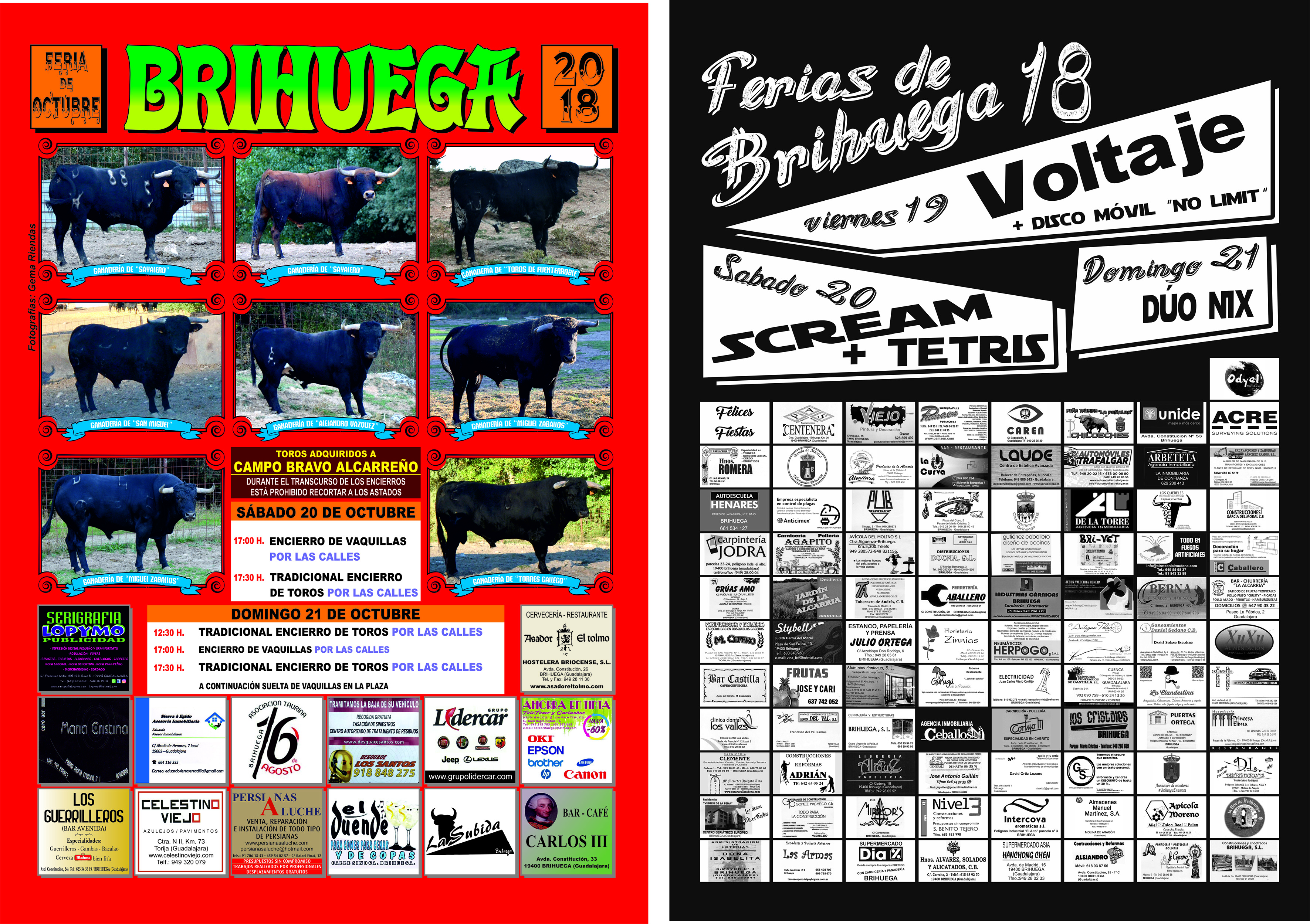 carteles brihuega 2018